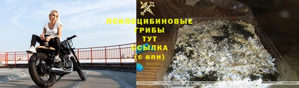 кокаин колумбия Богданович