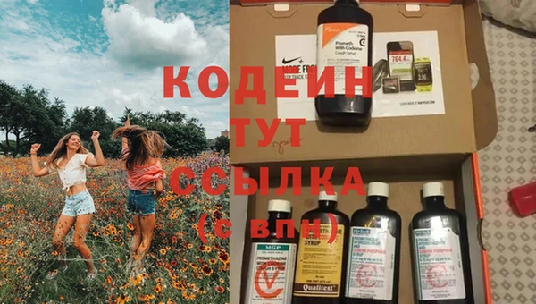 spice Богородицк