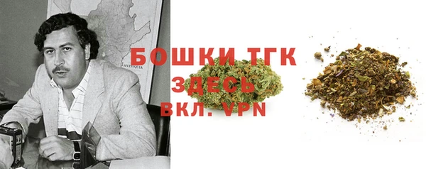 Альфа ПВП Богородск