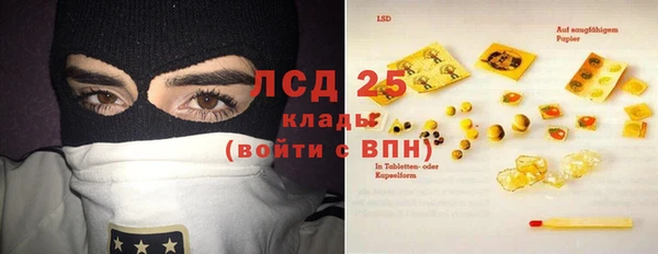 spice Богородицк