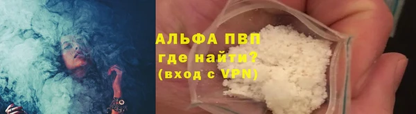 spice Богородицк