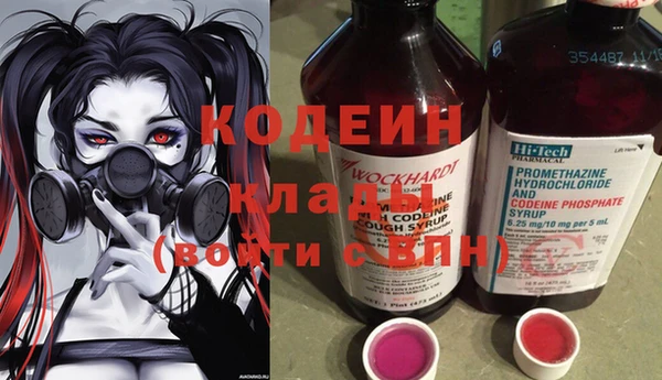 spice Богородицк