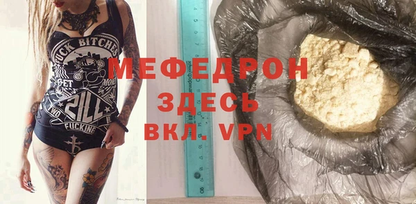 spice Богородицк