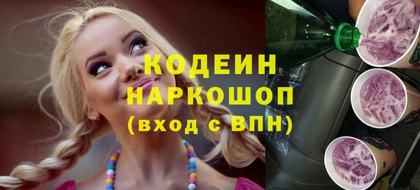 spice Богородицк