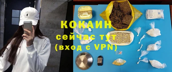 spice Богородицк