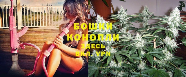 spice Богородицк