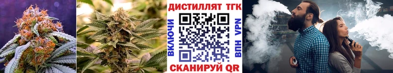 Купить где  Ухта  ТГК Wax 